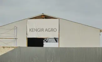 Визит Серика Жумангарина в область Ұлытау: новые инициативы в аграрном секторе и их влияние на стабилизацию цен