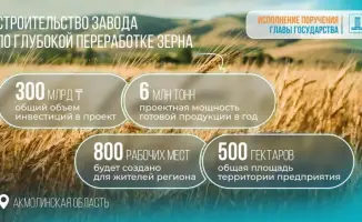 Казахстанское правительство одобрило инвестиционное соглашение на строительство завода по переработке зерна в Акмолинской области