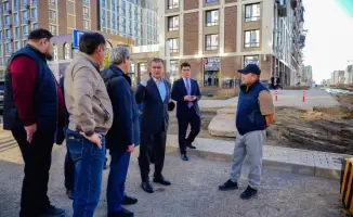 Высадка миллиона зеленых насаждений в Астане: влияние на экологию и городской ландшафт