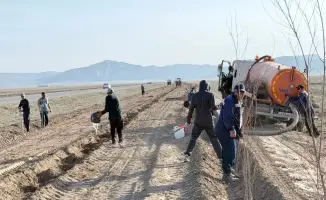 ТУРКЕСТАН: УВЕЛИЧЕНИЕ ЗЕЛЕНОГО ПОЯСА В СОЗАКЕ ПОВЫСИТ КАЧЕСТВО ЖИЗНИ И ЭКОЛОГИЧЕСКУЮ СИТУАЦИЮ