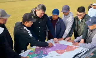 Ситуация с саранчой в Туркестанской области