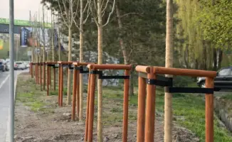 Увеличение озеленения в Медеуском районе Алматы: влияние на экологию и качество жизни жителей