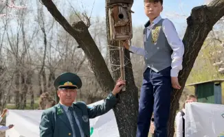 Скворечники на 1 апреля: праздник для пернатых!