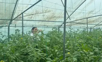 Шымкент: как школьники выращивают экологию сами!