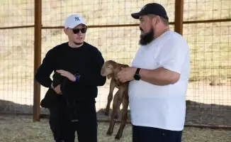 Фермеры Жамбылского района готовятся к сезону роста поголовья скота