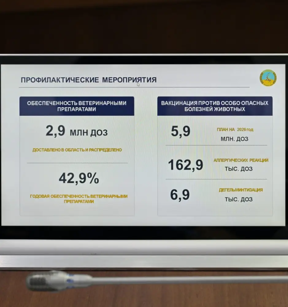 В акимате области рассмотрели вопросы организации летнего отдыха, оздоровления и занятости детей, а также обеспечения ветеринарной безопасности региона (2)