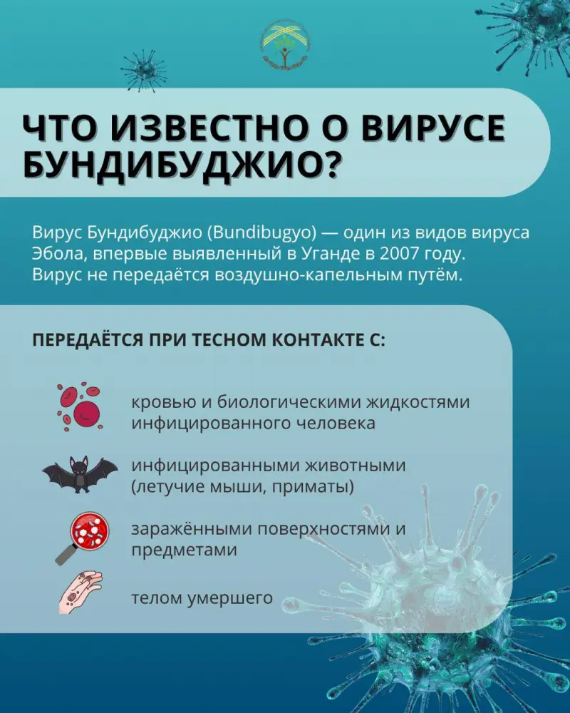 Эбола: что важно учитывать при поездках за границу (3)
