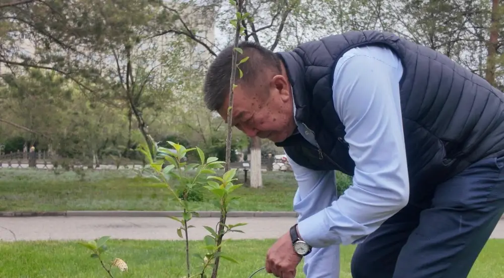 В Актюбинской области в преддверии Дня Победы высадили 4000 деревьев (8)