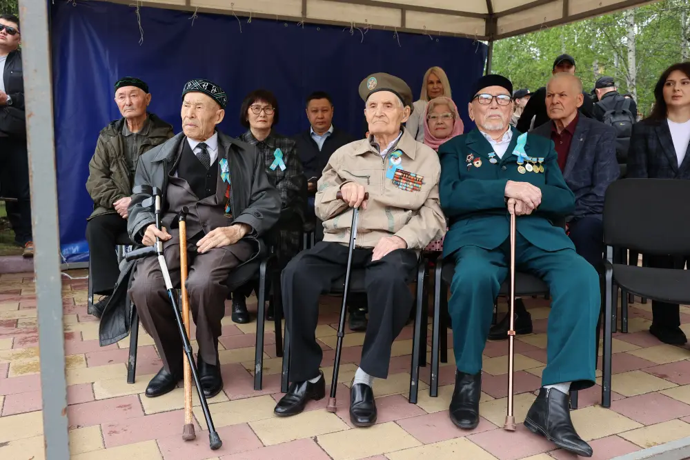 День Победы (7)