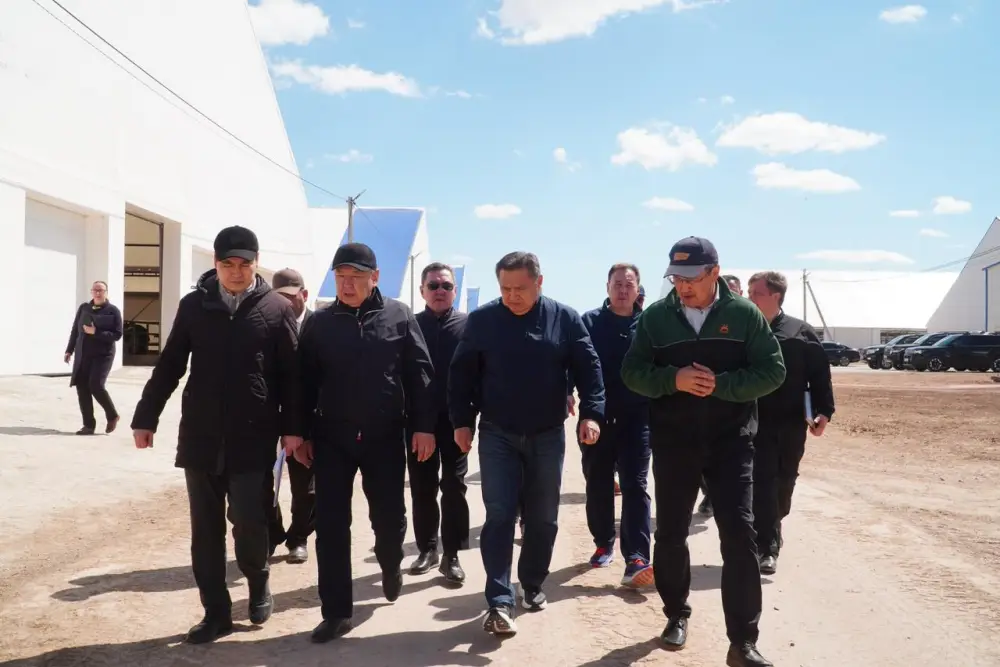 34 тонны молока в сутки производит ферма в Акмолинской области (9)