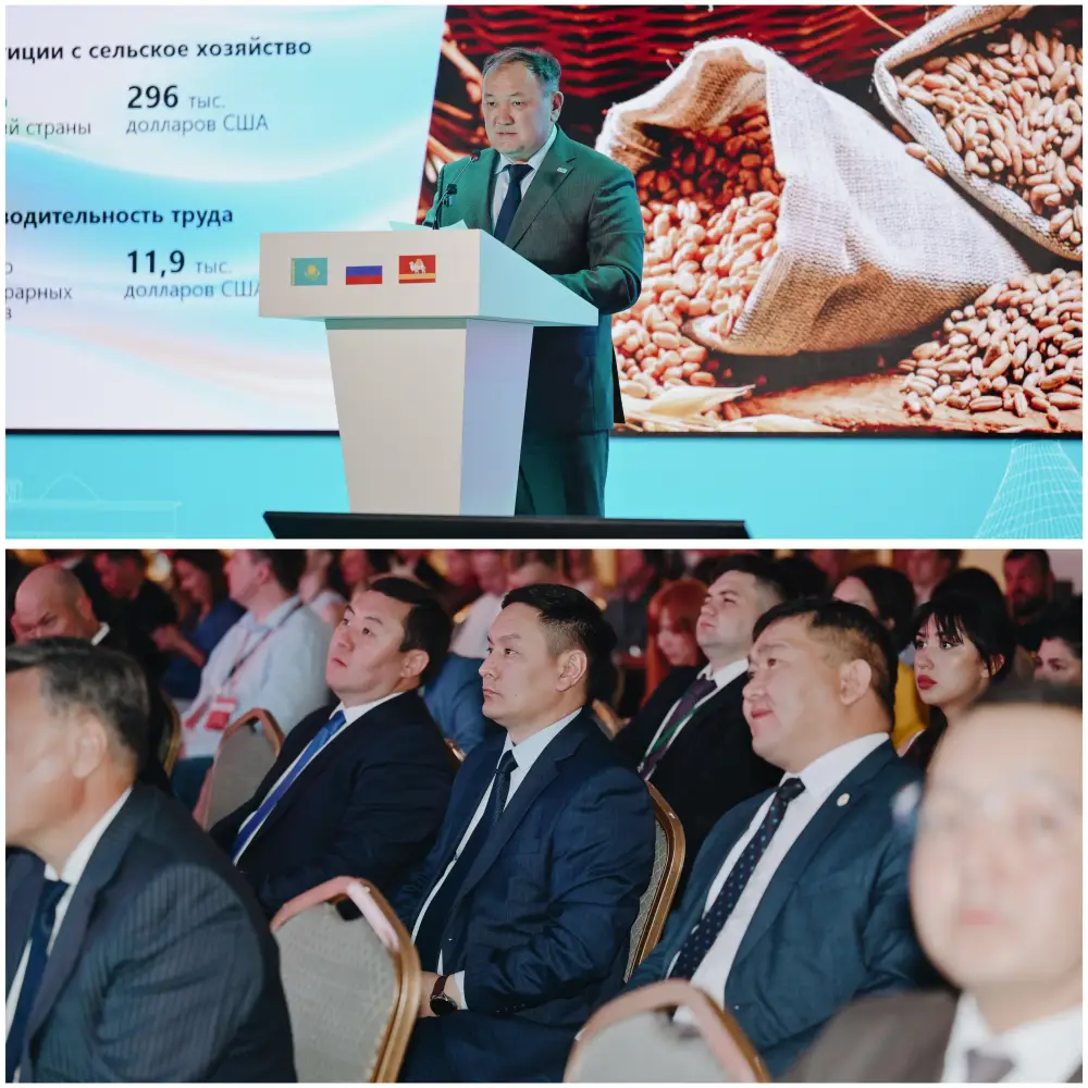 Южный Урал и Казахстан: новые горизонты приграничного сотрудничества (2)