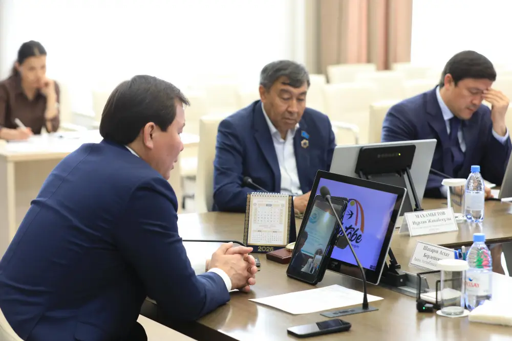 Обращения жителей – на контроле: аким области провёл онлайн-приём (2)