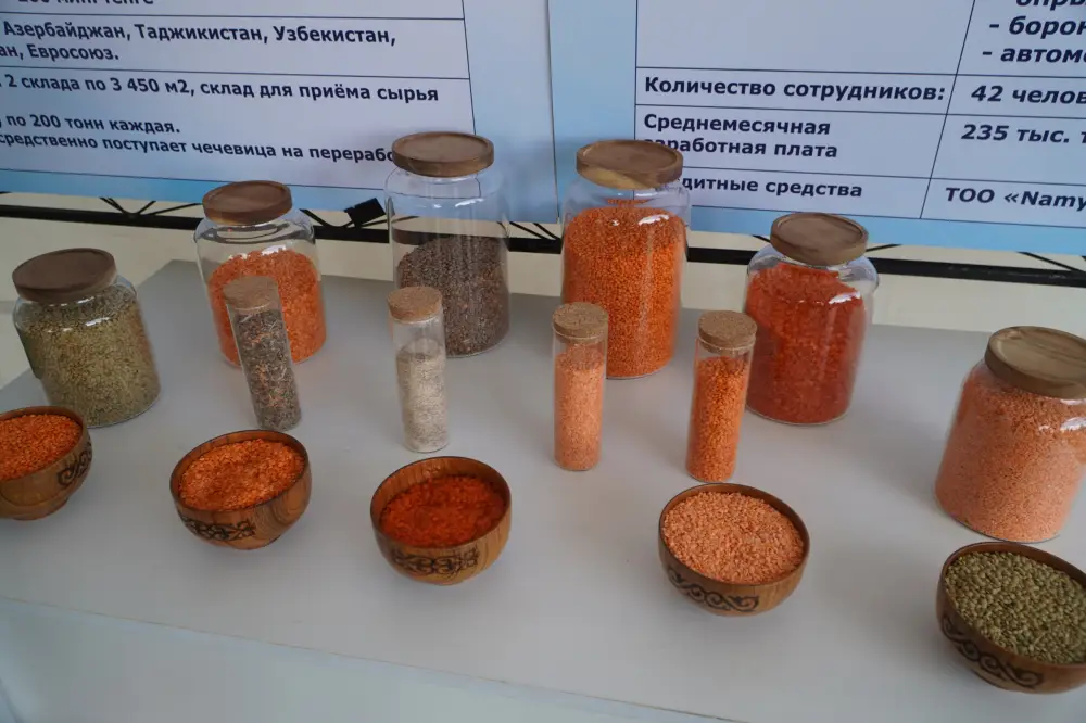 В Акмолинской области засеяно 70% площадей (5)