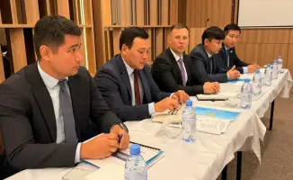 Международный опыт подготовки энергосистем к зимним условиям: Алматы в центре обсуждений