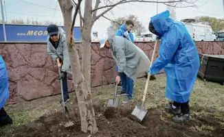 Высадка деревьев в рамках акции Таза Қазақстан более 70000 деревьев