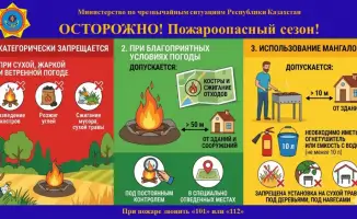 Увеличение случаев пожаров в праздничный сезон: МЧС призывает к осторожности на природе