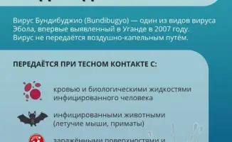 Эбола вспышка в Конго и Уганде советы по здоровью при поездках