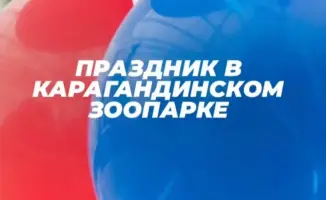 Пена, фокусы и куклы: праздник ждет детей!