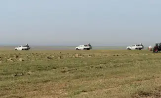 Саранча vs. Земля: битва за урожай в Туркестане!