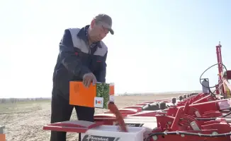 Жетісу завершил посадку сахарной свеклы
