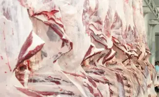 Жетісу: мясное производство взлетает на 11,6%, как птица, расправляющая крылья