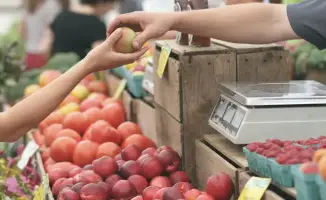 Государственный контроль цен: новые технологии для защиты потребителей