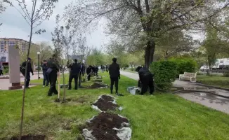 В Актюбинской области высажены 4000 деревьев в честь 81-й годовщины Великой Победы