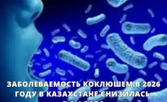Снижение заболеваемости коклюшем в Казахстане в 2026 году: 83 случая за год