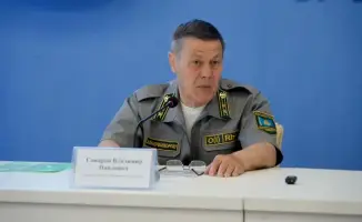 Усиление мер по охране лесов в ВКО: как это повлияет на предотвращение пожаров