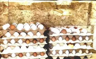 Создание кооператива по переработке мяса птицы способствует развитию местной экономики и созданию рабочих мест в Восточно-Казахстанской области