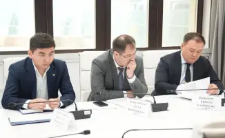 Вице-министр экологии Казахстана обсуждает экологические проблемы и незаконную добычу ресурсов с гражданами