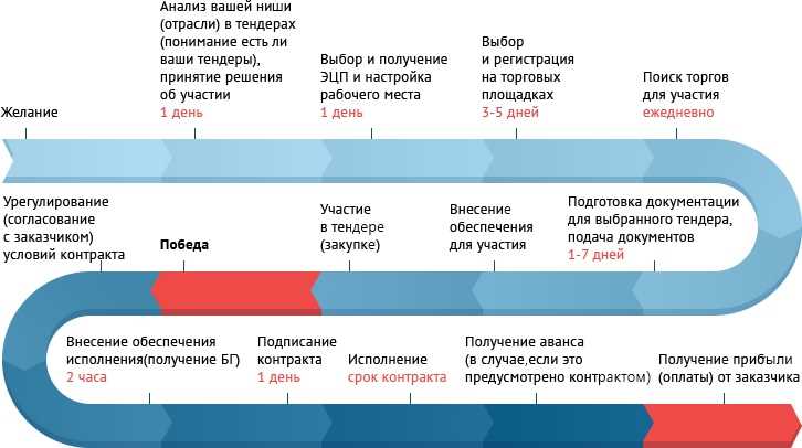 Навигация в тендерной документации: ключевые моменты и ошибки